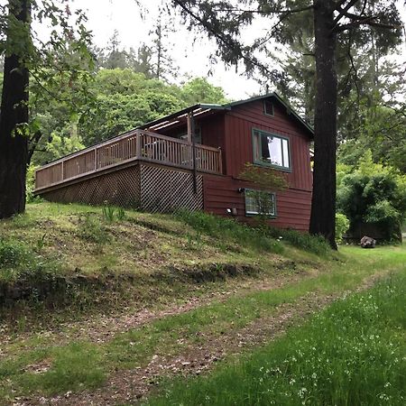 Avenue Of The Giants Caraway Cottage Miranda Exterior photo