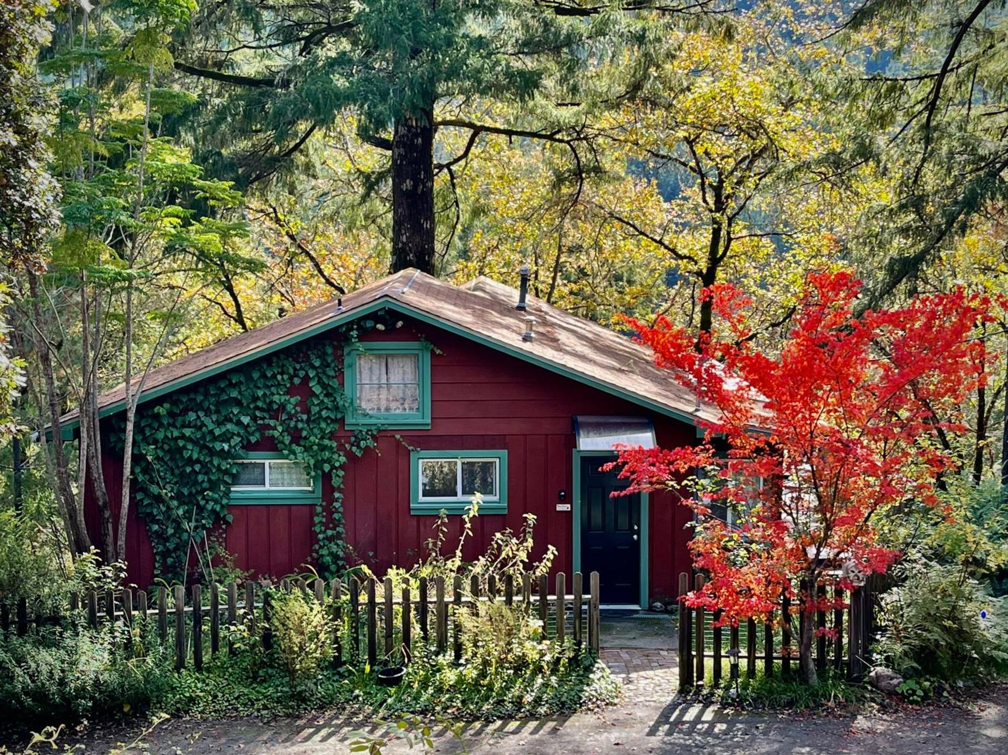 Avenue Of The Giants Caraway Cottage Miranda Exterior photo