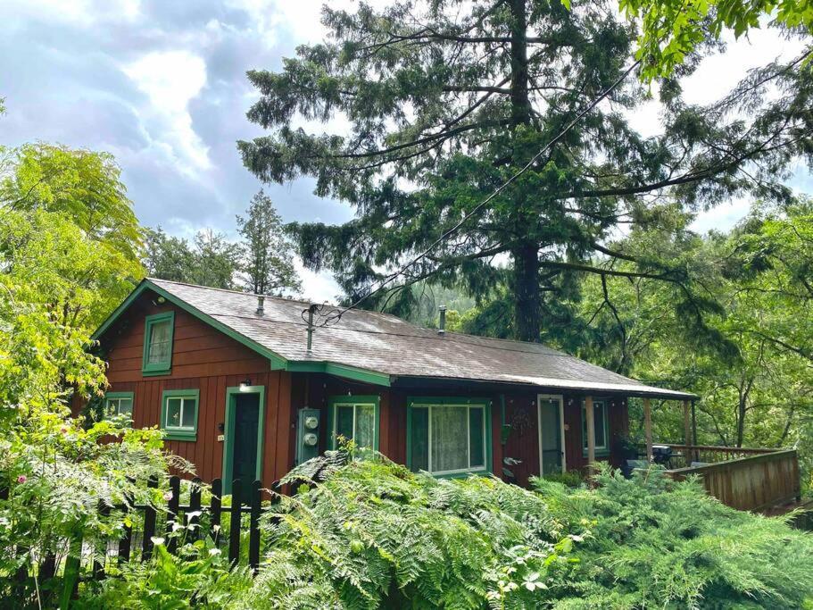 Avenue Of The Giants Caraway Cottage Miranda Exterior photo