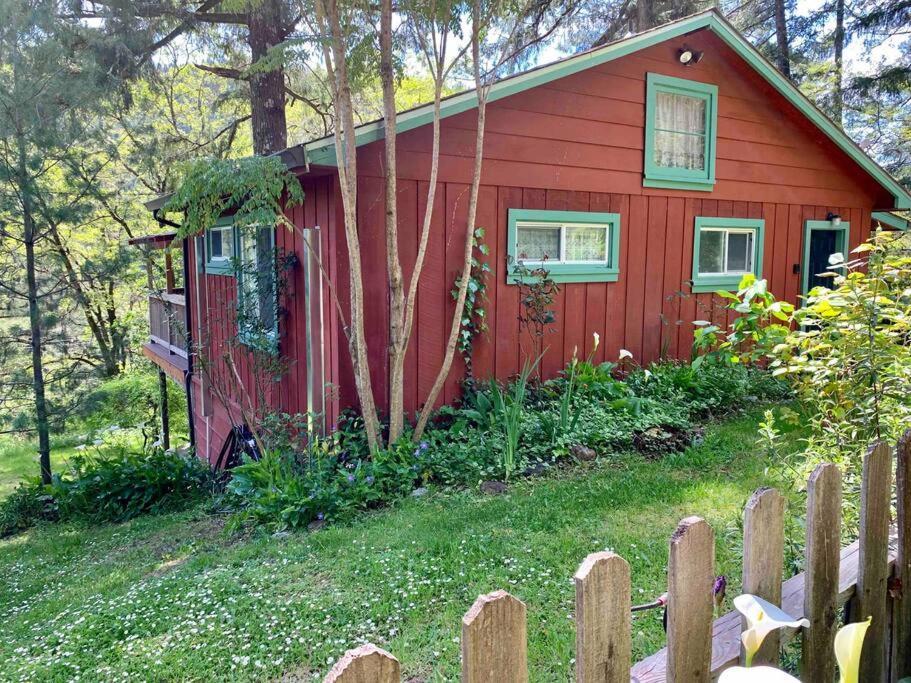 Avenue Of The Giants Caraway Cottage Miranda Exterior photo